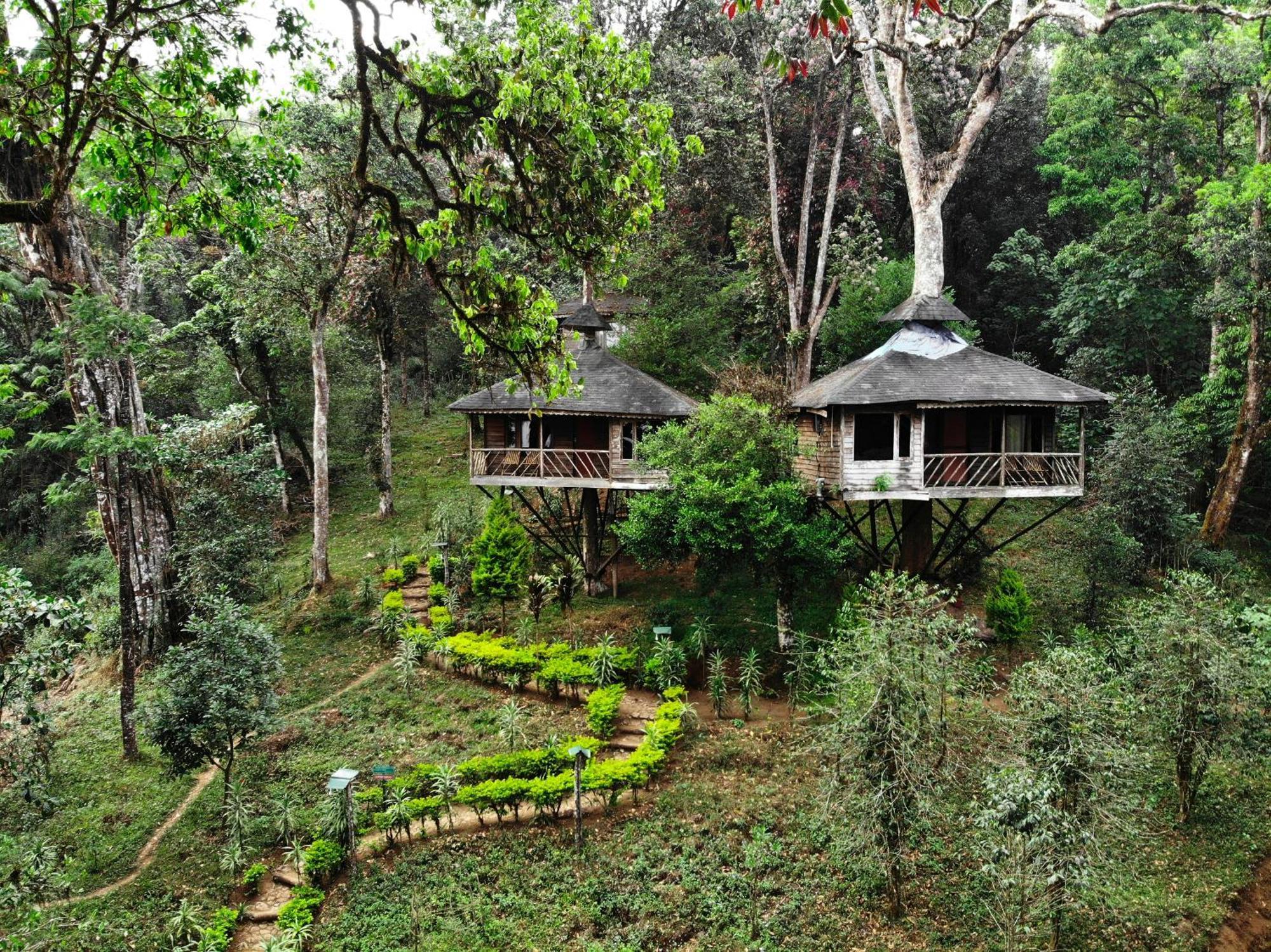 Nature Zone Jungle Resort Munnar Eksteriør bilde